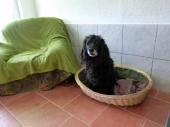 Pension_19