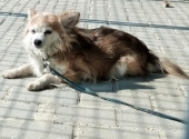 Pension_1