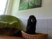 Pension_20
