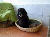 Pension_21