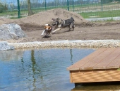 Pension_21