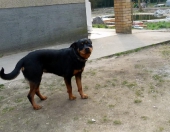 Pension_27