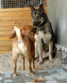 Pension_33
