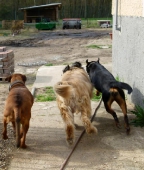 Pension_6