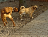 Pension_2
