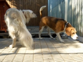 Pension_93