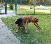 Pension_11