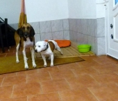Pension_12
