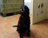 Pension_12