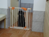 Pension_13