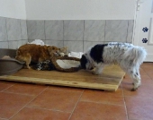 Pension_19
