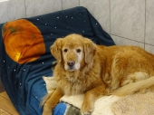Pension_23
