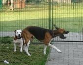 Pension_25