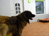 Pension_2