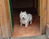 Pension_2