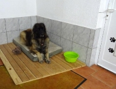 Pension_34