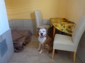 Pension_35