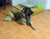 Pension_37