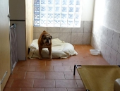 Pension_38