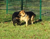 Pension_47