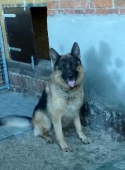 Pension_48
