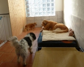Pension_66