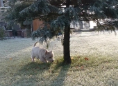 Pension_78