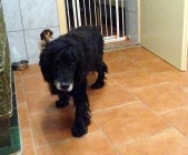 Pension_8
