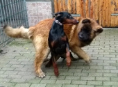 Pension_2