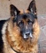 Pension_5