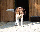 Pension_10