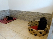 Pension_10