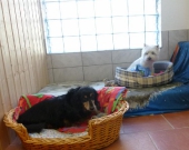 Pension_13