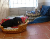 Pension_14