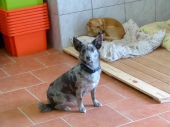 Pension_19