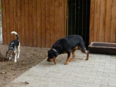 Pension_19