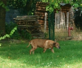 Pension_19