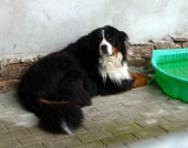Pension_21