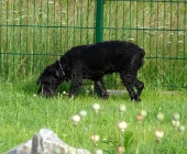 Pension_22