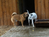 Pension_22
