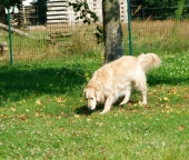 Pension_23
