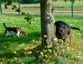 Pension_26