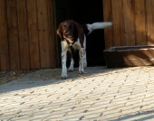 Pension_2