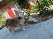 Pension_38