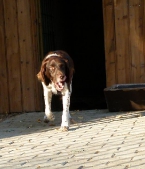 Pension_3