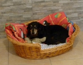 Pension_42