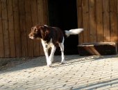 Pension_4