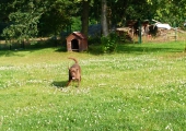 Pension_4