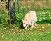 Pension_62
