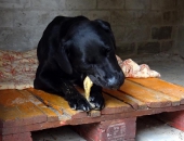 Pension_11